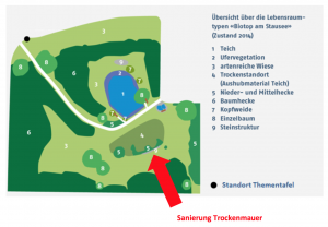 Sanierung Trockenmauer (© NVVB)