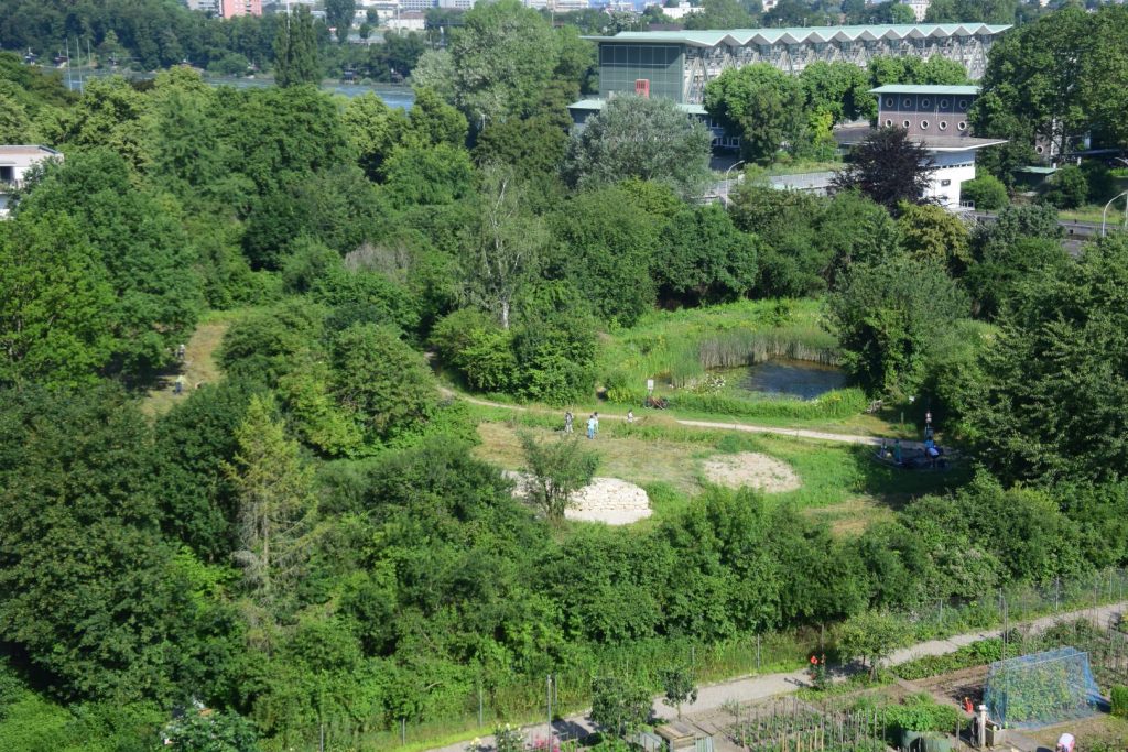 Heuen im "Biotop Am Stausee" (© NVVB)