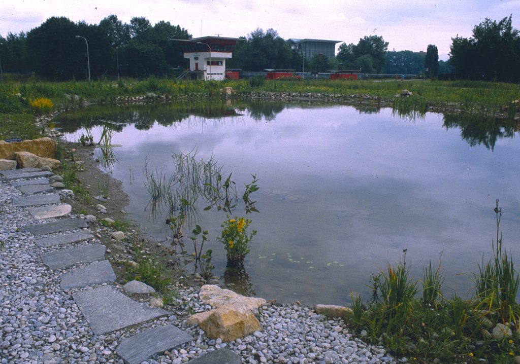 Früher - Biotop Am Stausee 1983 (© re-natur)