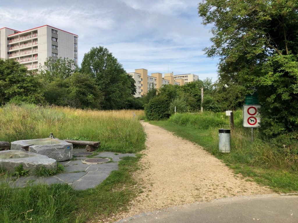 Vor dem Mähen - Biotop Am Stausee, 15. Juni 2020 (© Beat Flubacher)