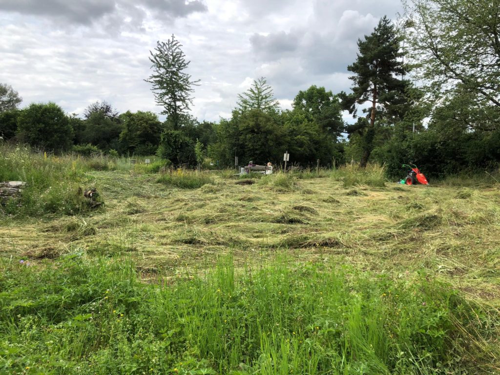 Mähen der Wildblumenwiesen - Biotop Am Stausee, 15. Juni 2020 (© Beat Flubacher)