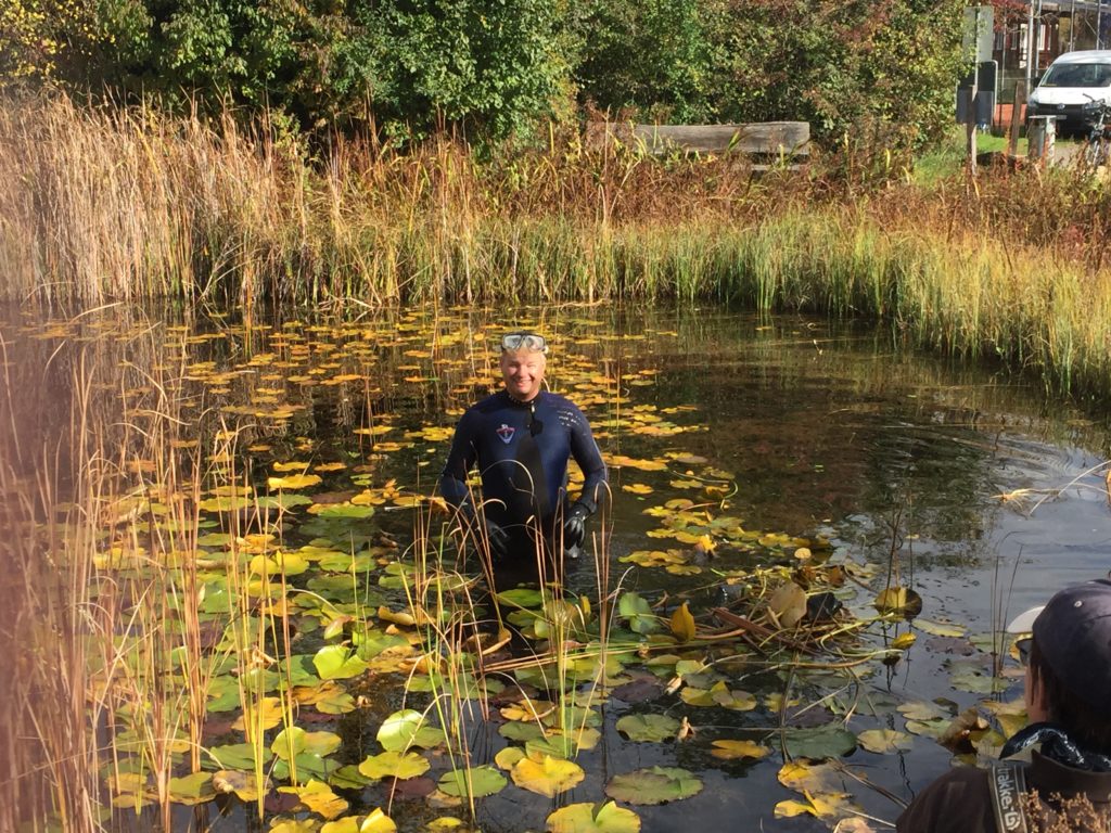 Vorarbeiten für den Naturschutztag - Biotop Am Stausee, 24.u.30.Okt.2020 (© NVVB)