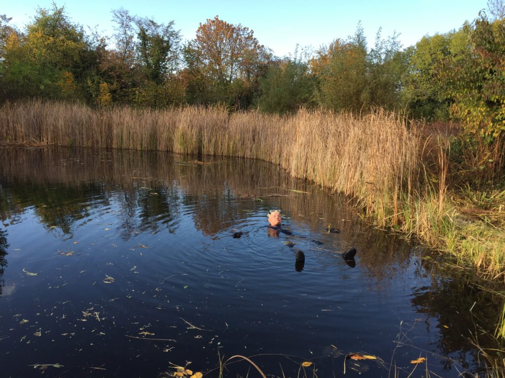 Vorarbeiten für den Naturschutztag - Biotop Am Stausee, 24.u.30.Okt.2020 (© NVVB)