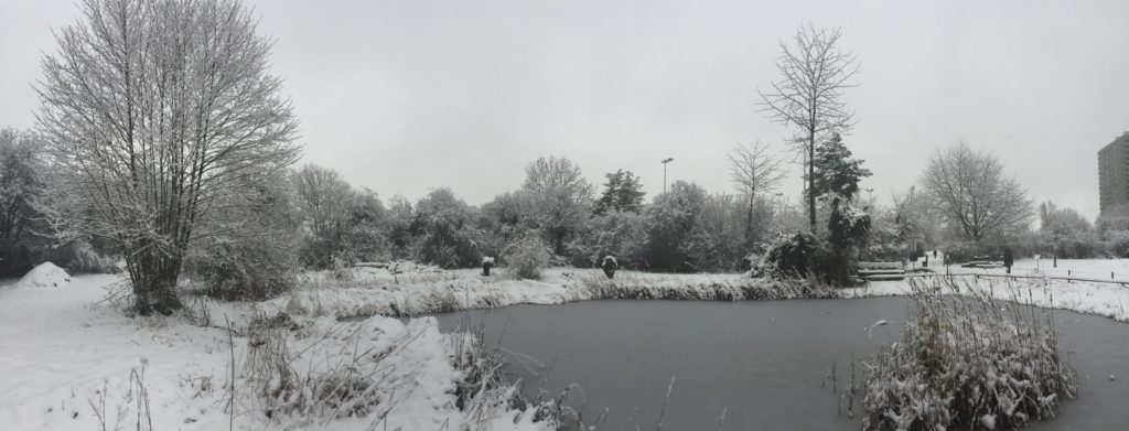 Winterimpressionen - Biotop Am Stausee, 15. Januar 2021 (© NVVB)