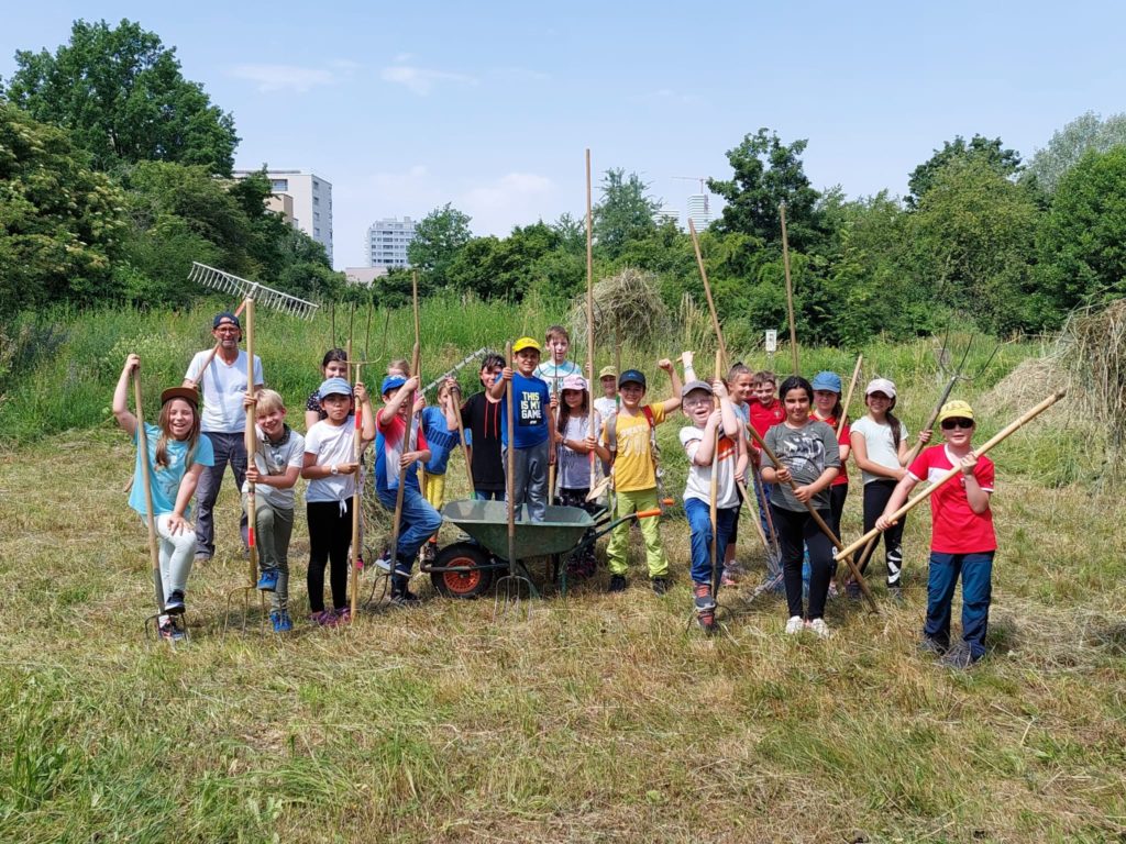 Heuen mit Primarschulklasse Kirchmattschulhaus – Biotop Am Stausee, 18. Juni 2021 (© NVVB)