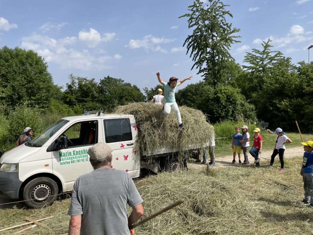 Heuen mit Primarschulklasse Kirchmattschulhaus – Biotop Am Stausee, 18. Juni 2021 (© NVVB)