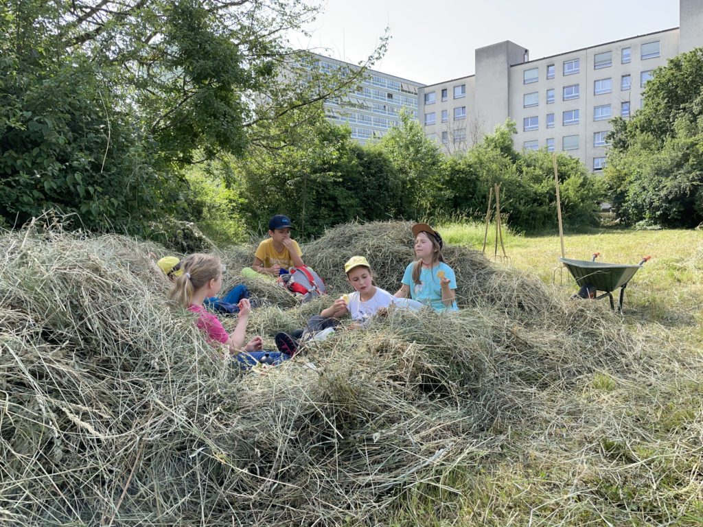 Heuen mit Primarschulklasse Kirchmattschulhaus – Biotop Am Stausee, 18. Juni 2021 (© NVVB)