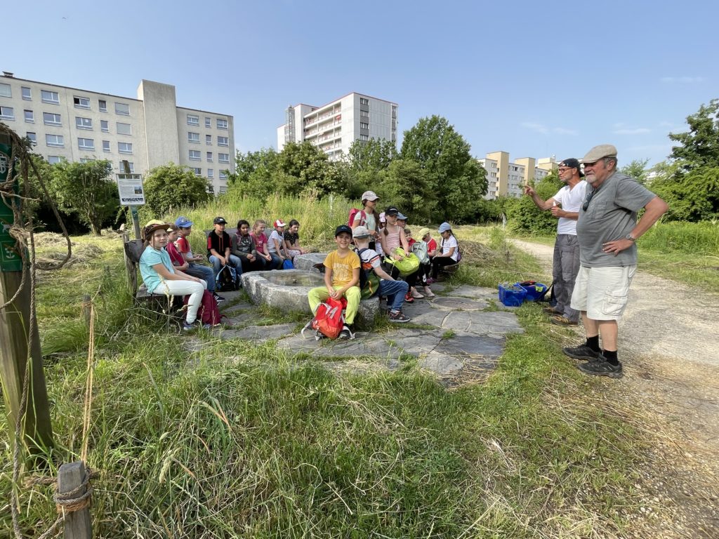 Heuen mit Primarschulklasse Kirchmattschulhaus – Biotop Am Stausee, 18. Juni 2021 (© NVVB)