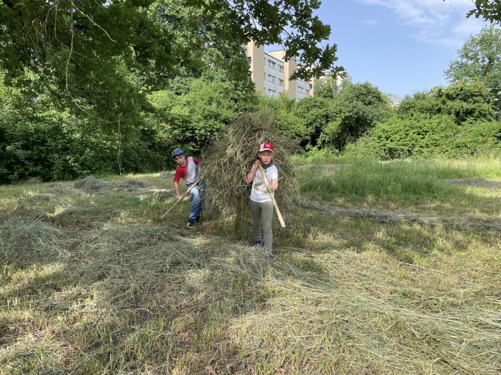 Heuen mit Primarschulklasse Kirchmattschulhaus – Biotop Am Stausee, 18. Juni 2021 (© NVVB)