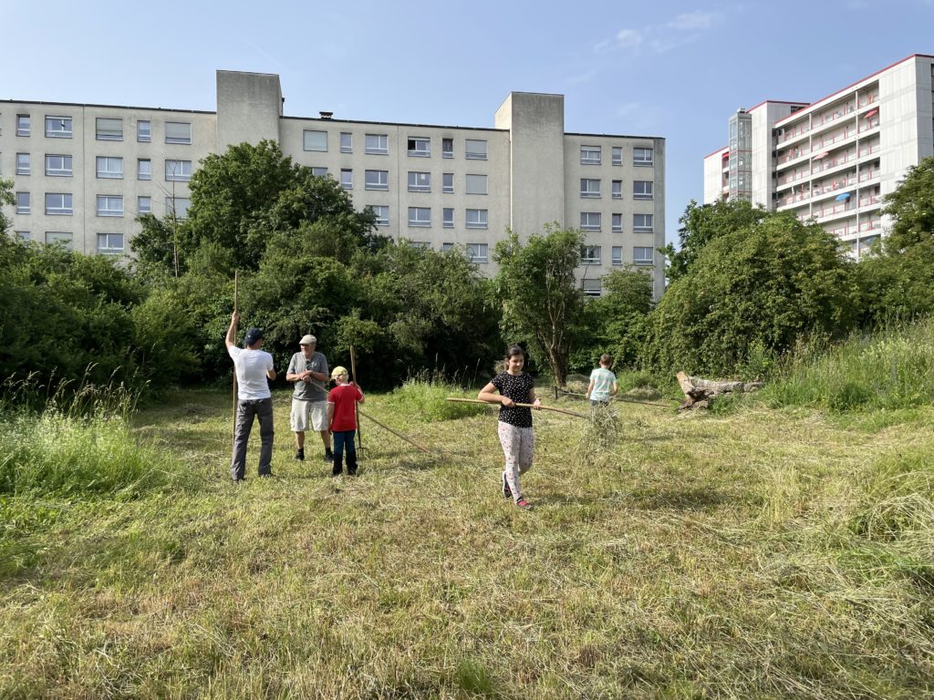 Heuen mit Primarschulklasse Kirchmattschulhaus – Biotop Am Stausee, 18. Juni 2021 (© NVVB)