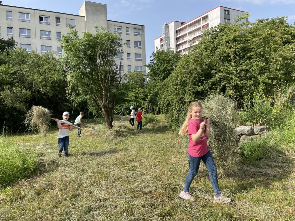 Heuen mit Primarschulklasse Kirchmattschulhaus – Biotop Am Stausee, 18. Juni 2021 (© NVVB)