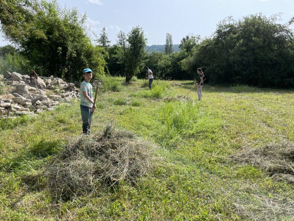 Heuen mit Primarschulklasse Kirchmattschulhaus – Biotop Am Stausee, 18. Juni 2021 (© NVVB)