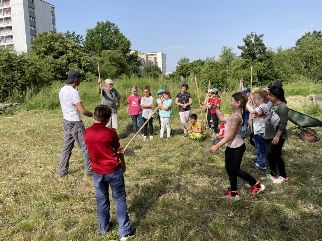 Heuen mit Primarschulklasse Kirchmattschulhaus – Biotop Am Stausee, 18. Juni 2021 (© NVVB)