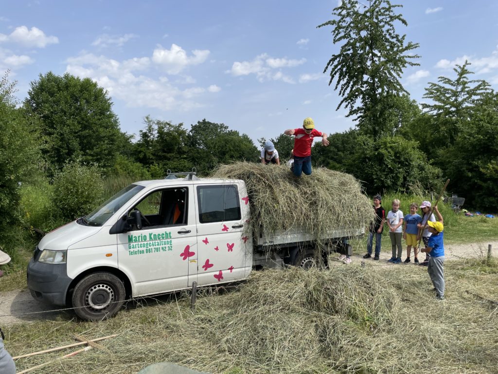 Heuen mit Primarschulklasse Kirchmattschulhaus – Biotop Am Stausee, 18. Juni 2021 (© NVVB)