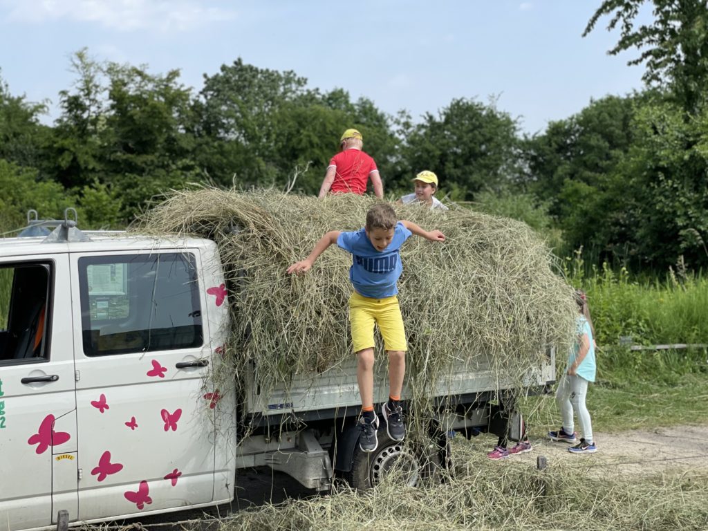 Heuen mit Primarschulklasse Kirchmattschulhaus – Biotop Am Stausee, 18. Juni 2021 (© Daniel Anderauer)