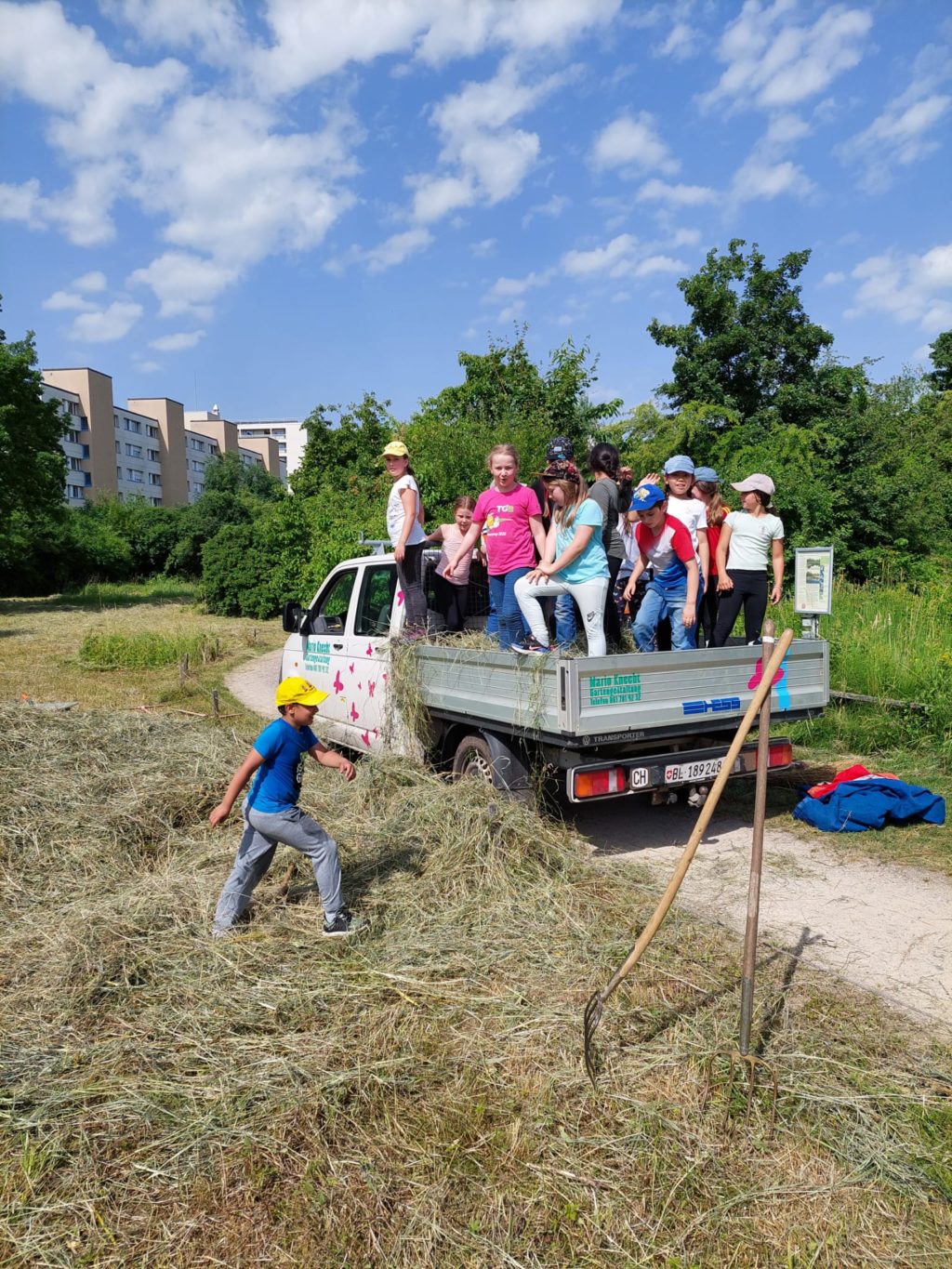 Heuen mit Primarschulklasse Kirchmattschulhaus – Biotop Am Stausee, 18. Juni 2021 (© Daniel Anderauer)