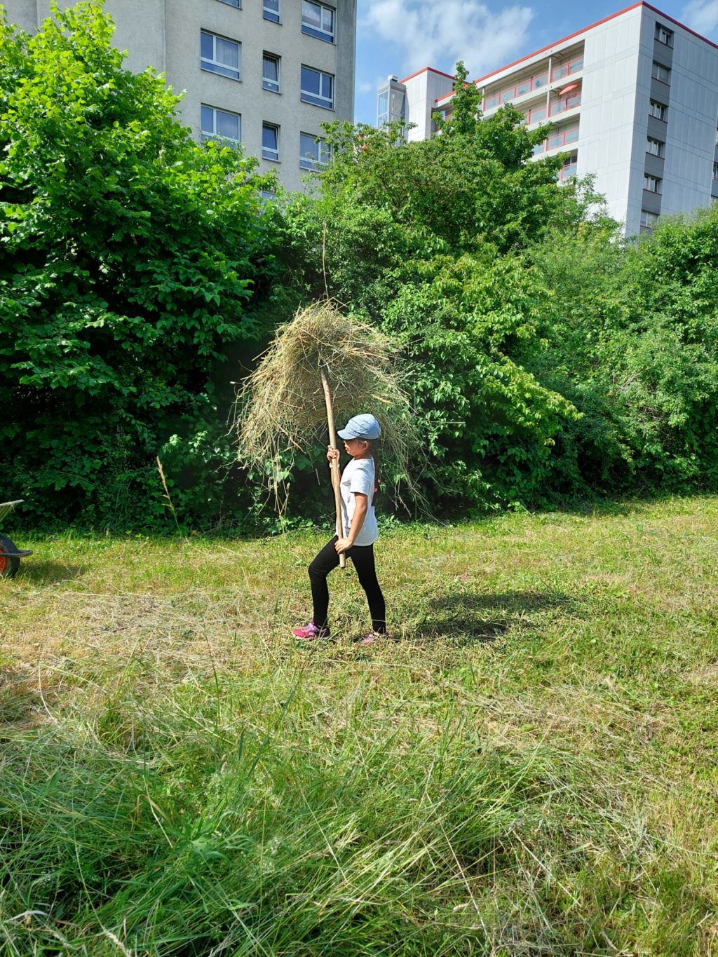 Heuen mit Primarschulklasse Kirchmattschulhaus – Biotop Am Stausee, 18. Juni 2021 (© Daniel Anderauer)