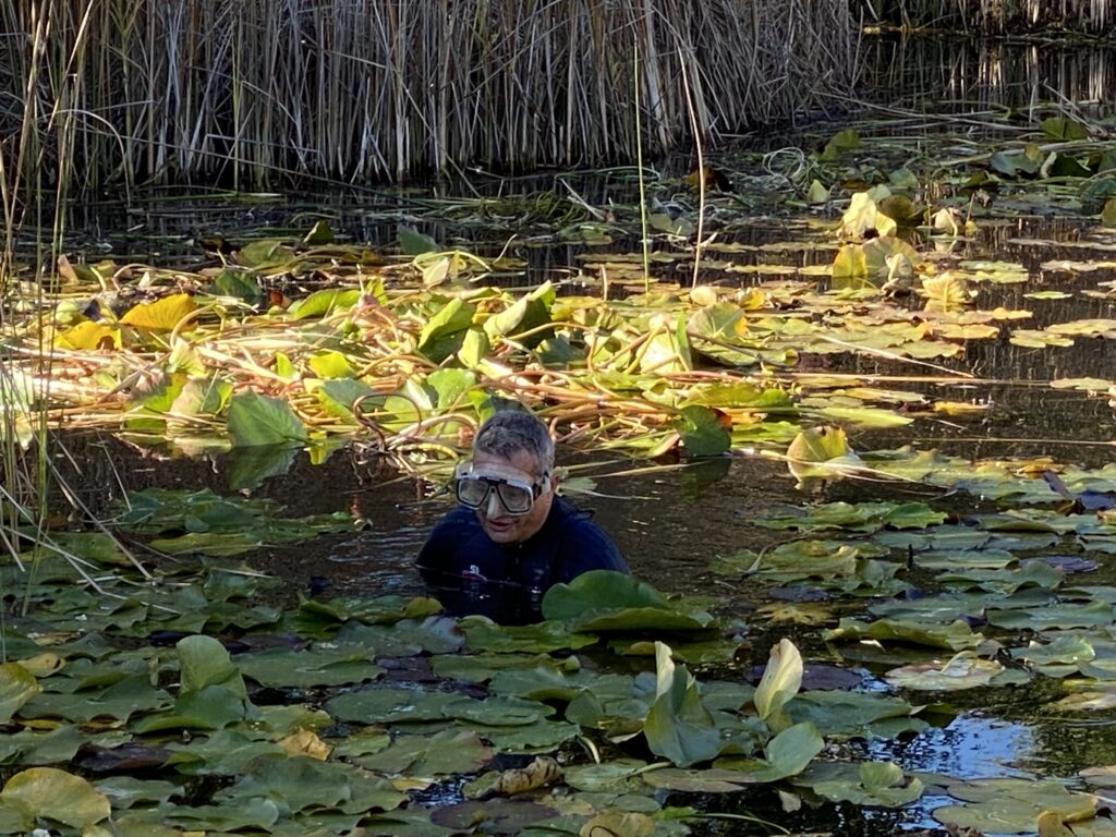 Teichvorarbeiten - Biotop Am Stausee, 23.u.29.Okt. 2021 (© NVVB und Thomas Karrer)