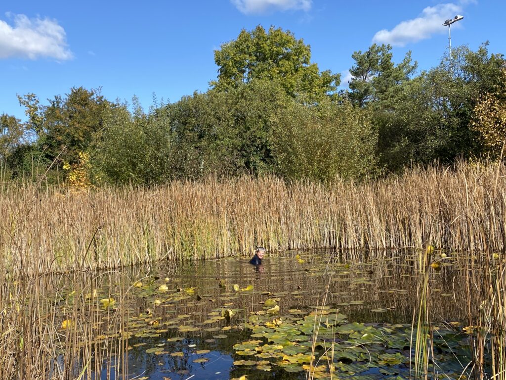 Teichvorarbeiten - Biotop Am Stausee, 23.u.29.Okt. 2021 (© NVVB und Thomas Karrer)