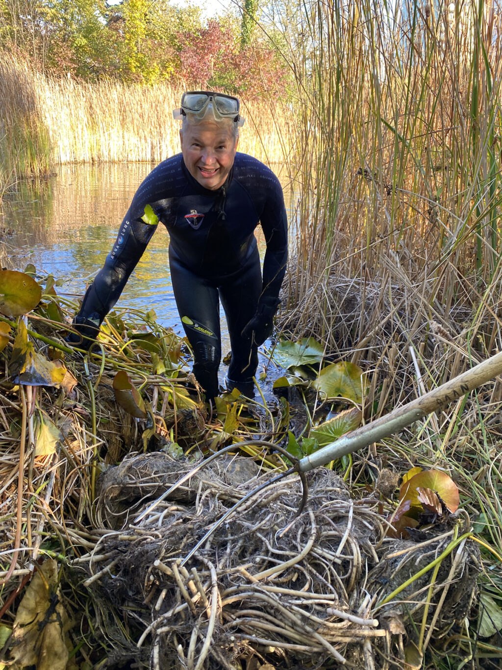 Teichvorarbeiten - Biotop Am Stausee, 23.u.29.Okt. 2021 (© NVVB und Thomas Karrer)