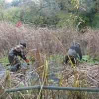 Unterhaltsarbeiten im Teich des Biotops (© J.Roth)