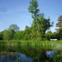 Lauschiges Plätzchen zum verweilen (© NVVB)