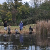 Pflegeeinsatz Naturschutztag Biotop Am Stausee, 2014 (© Franz Büchler)