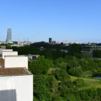 Die grüne Lunge Birsfeldens - Naturschutzgebiet "Biotop Am Stausee" (© J.Roth/NVVB)