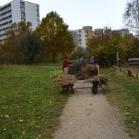 Pflegeeinsatz, 31. Oktober 2015 (©NVVB)