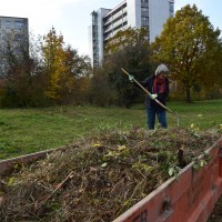 Pflegeeinsatz, 31. Oktober 2015 (©NVVB)