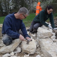 Team Grünspecht Gmbh - Sanierung Trockenmauer Biotop Am Stausee (© NVVB)