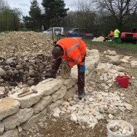 Sanierung der Trockenmauer Biotop Am Stausee (© NVVB)