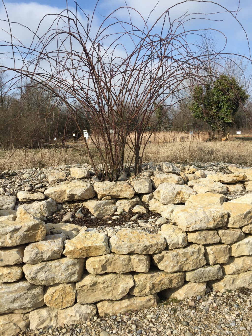 Trockenmauer nachher - Biotop Am Stausee 2017 (© NVVB)