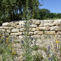 Trockenmauer - "Biotop Am Stausee" Juni 2017 (© NVVB)