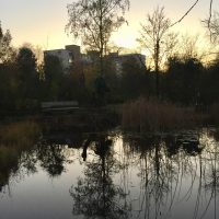Abendstimmung am Teich - Biotop Am Stausee Nov. 2017 (© NVVB)