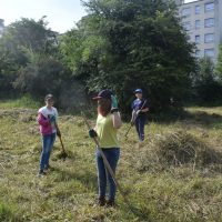 Heuen im "Biotop Am Stausee" - 15. Juni 2018 (© NVVB)