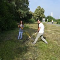 Heuen im "Biotop Am Stausee" - 15. Juni 2018 (© NVVB)