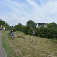 Heuen im "Biotop Am Stausee" - 15. Juni 2018 (© NVVB)