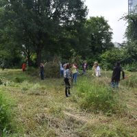 Heuen im "Biotop Am Stausee" - 15. Juni 2018 (© NVVB)