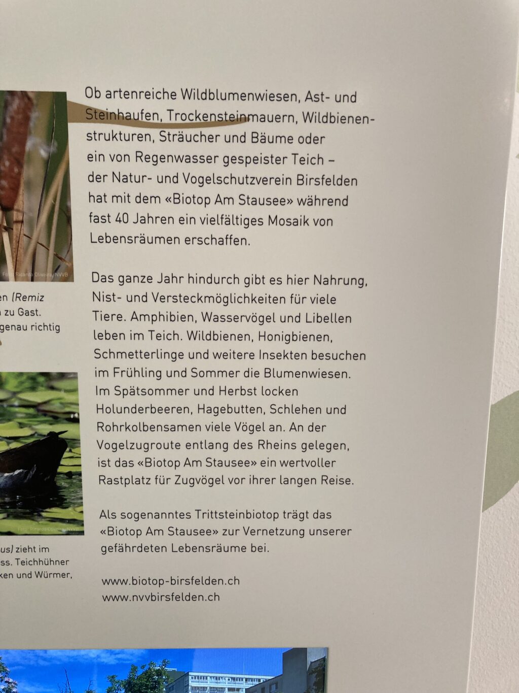 Biotop Gemeinde-Stele , Vernissage «Wildes Baselbiet» Museum.BL © NVVB