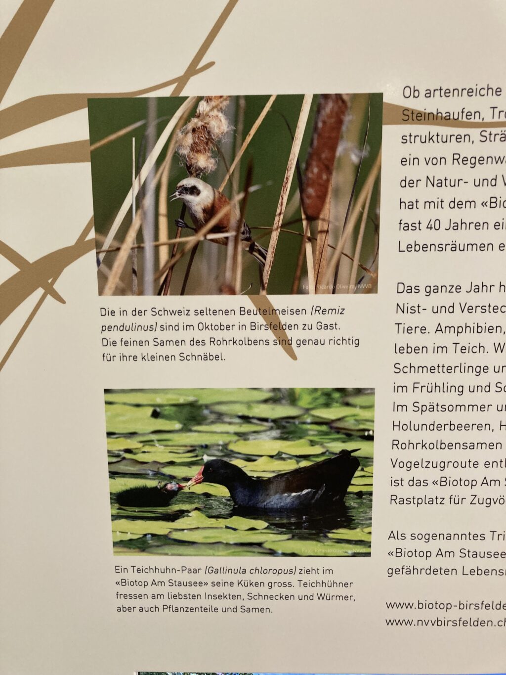 Biotop Gemeinde-Stele , Vernissage «Wildes Baselbiet» Museum.BL © NVVB