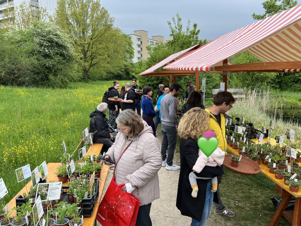 Wildpflanzen- und Kräutermarkt 2022 - Biotop Am Stausee, 23. April 2022 © NVVBirsfelden