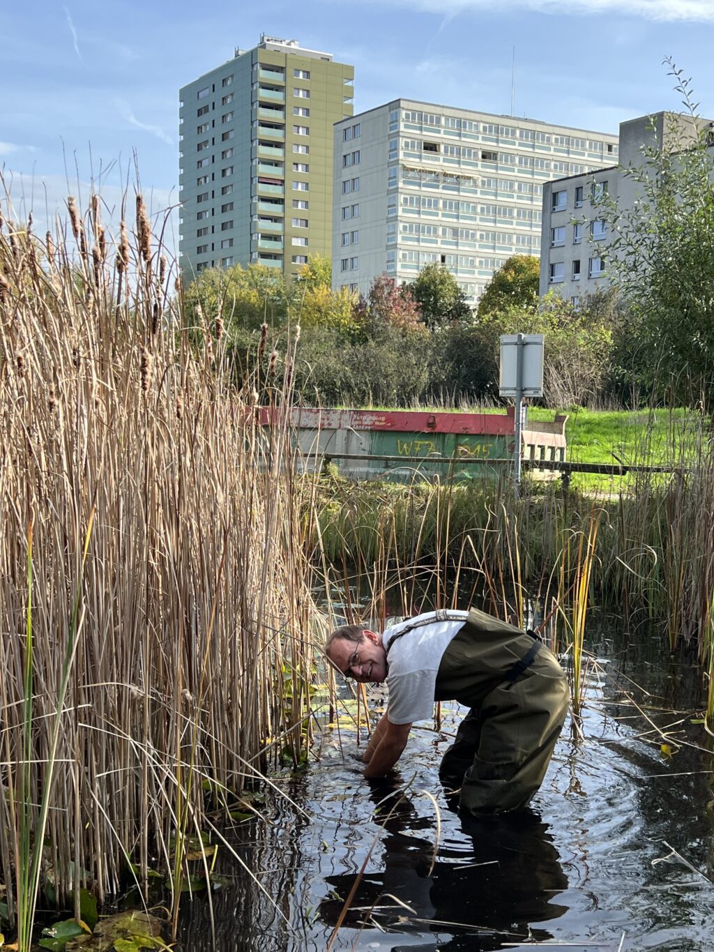 Teich Vorarbeiten für Pflegeeinsatz 28.BL-Naturschutztag - Biotop Am Stausee, 28.Okt.2022 (© NVVB)