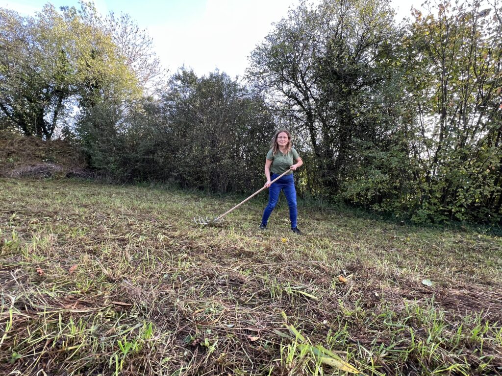 Pflegeeinsatz 28.BL-Naturschutztag - Biotop Am Stausee, 29.Okt.2022 (© NVVB)