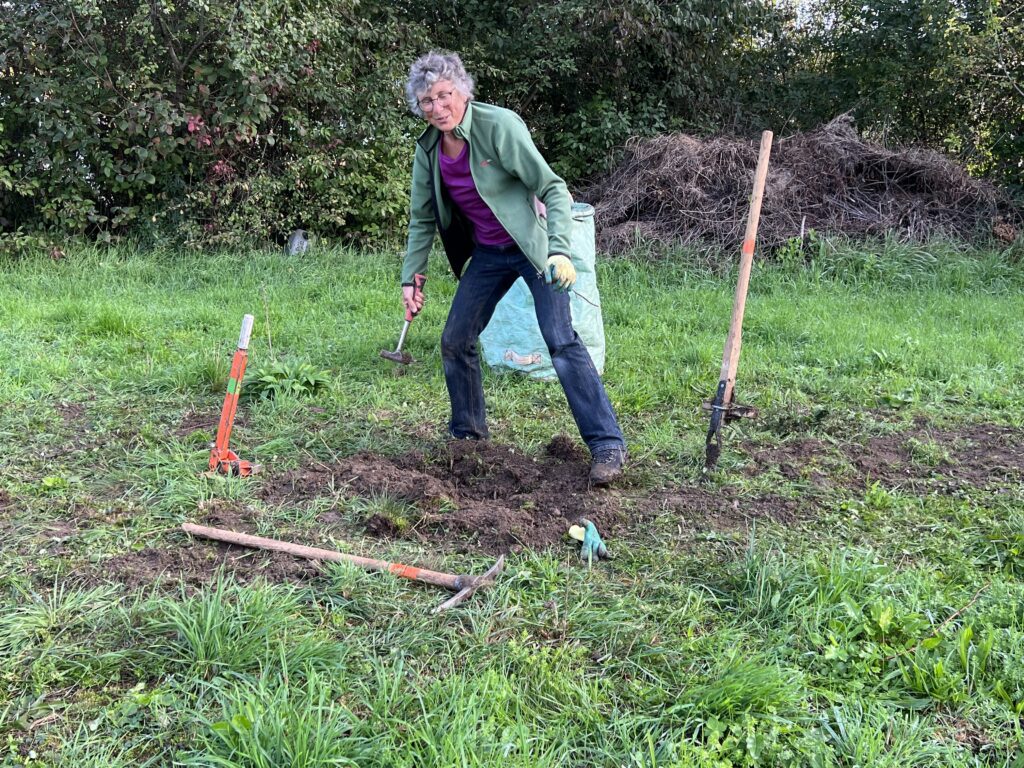 Pflegeeinsatz 28.BL-Naturschutztag - Biotop Am Stausee, 29.Okt.2022 (© NVVB)