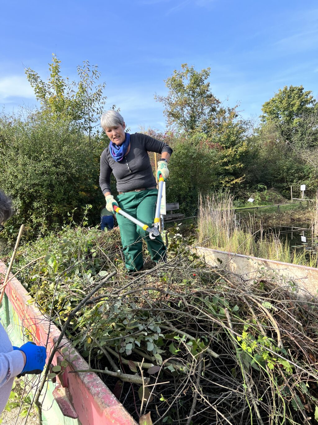 Pflegeeinsatz 28.BL-Naturschutztag - Biotop Am Stausee, 29.Okt.2022 (© NVVB)