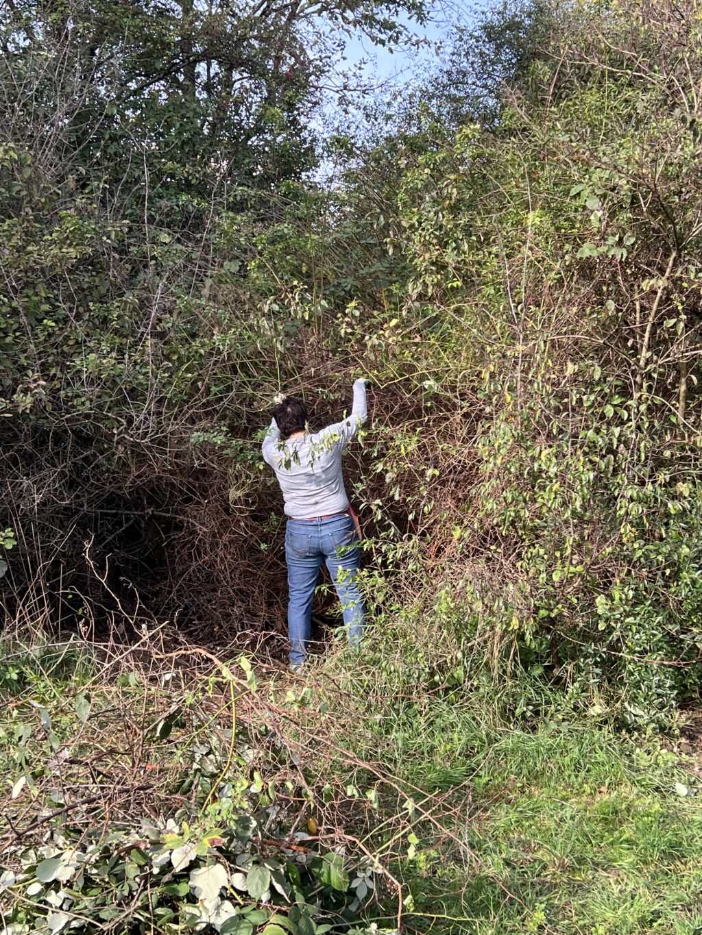 Pflegeeinsatz 28.BL-Naturschutztag - Biotop Am Stausee, 29.Okt.2022 (© NVVB)