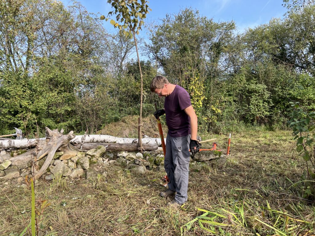 Pflegeeinsatz 28.BL-Naturschutztag - Biotop Am Stausee, 29.Okt.2022 (© NVVB)