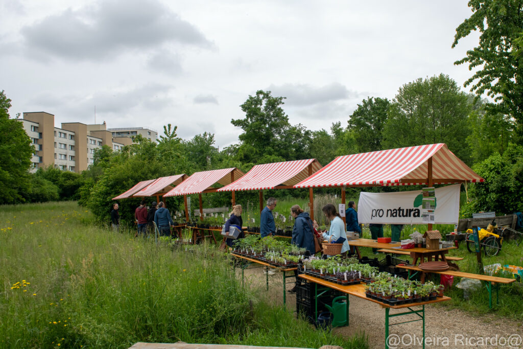 Wildpflanzenmarkt - Biotop Am Stausee, 13. Mai 2023 (© Ricardo Olveira)