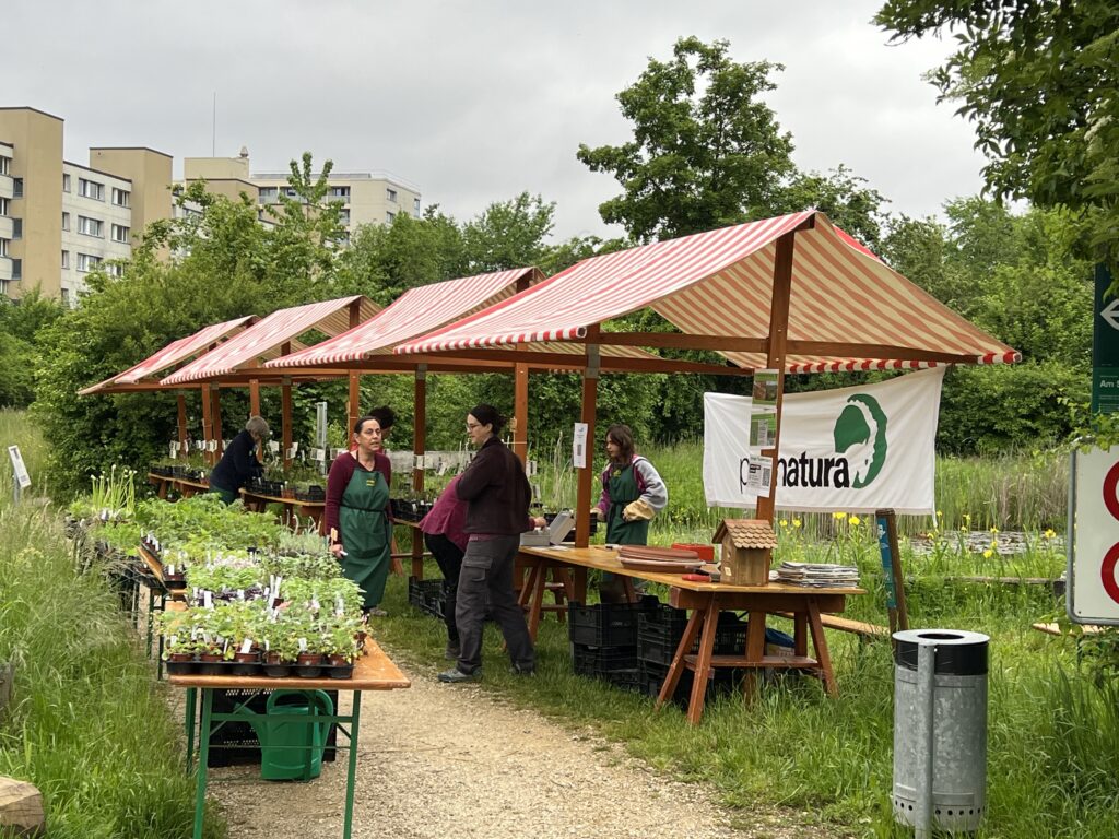 Wildpflanzenmarkt - Biotop Am Stausee, 13. Mai 2023 (© NVVB)